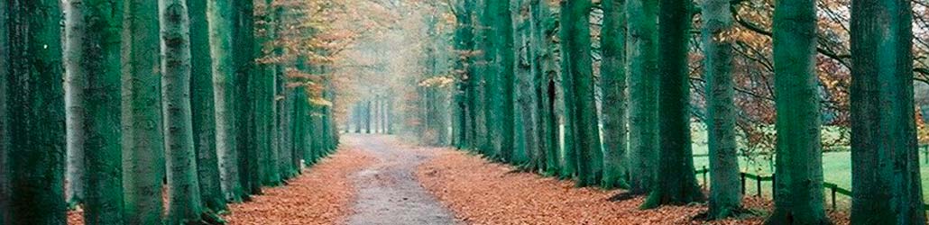 header readingvolwassenen